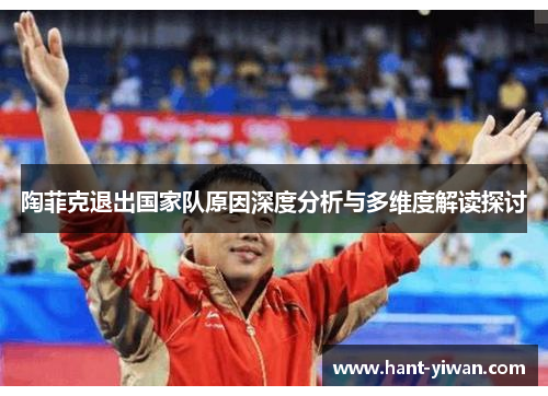 陶菲克退出国家队原因深度分析与多维度解读探讨