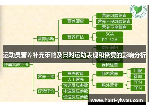 运动员营养补充策略及其对运动表现和恢复的影响分析 运动员营养补充策略及其对运动表现和恢复的影响分析