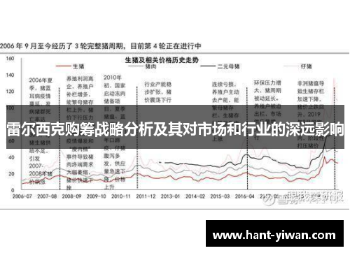 雷尔西克购筹战略分析及其对市场和行业的深远影响